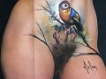 Bird in the Bush