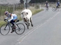 Cycling Motivation