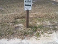 Frog Parking