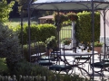 Vineyard-01